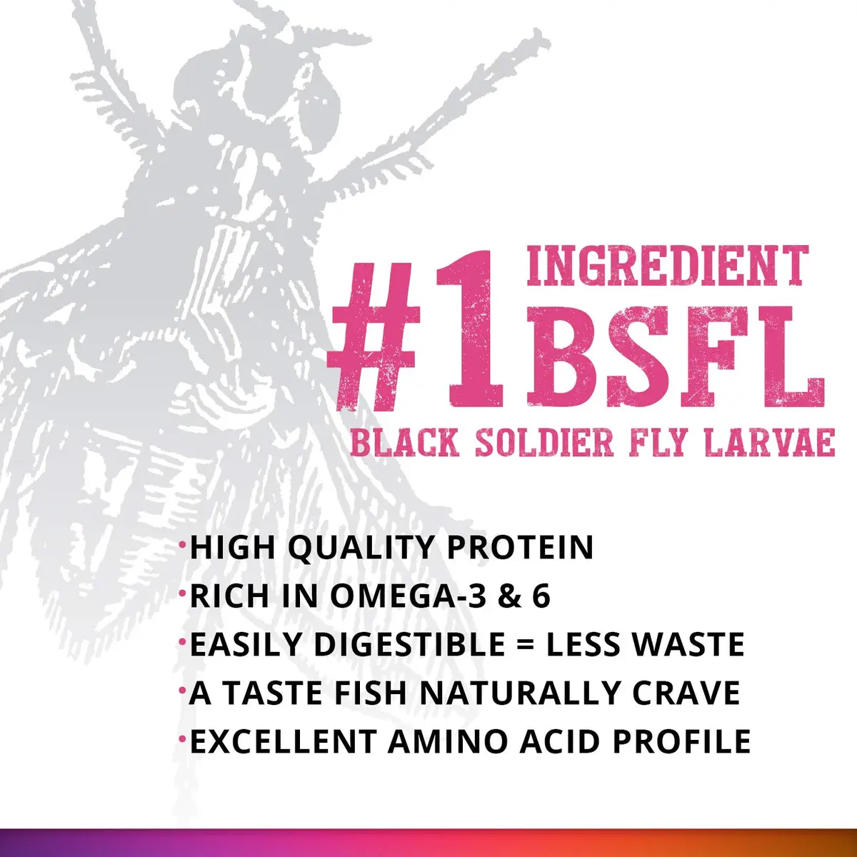 Fluval Bug Bites Color Enhancing Fish Food for Tropical Fish, 1.6 oz | Insect-Based Nutrition for Vibrant Fish - view 4