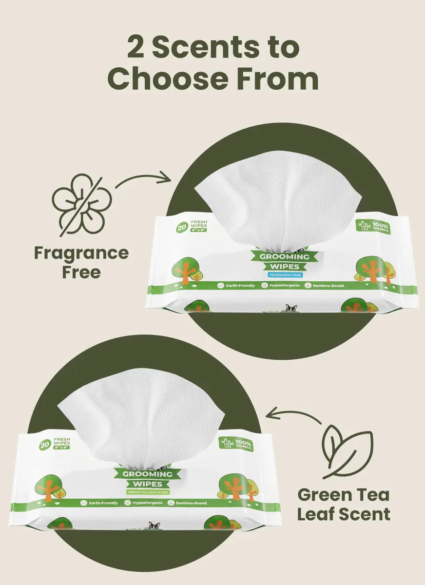 Pogi's Dog Grooming Wipes for Paws & Butt 240 Count | Green Tea Scent, Large 8 x 9 Inch, Hypoallergenic - view 8