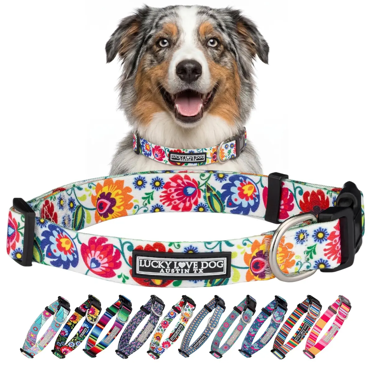 Lucky Love Dog Collar for Medium Dogs | Adjustable Nylon Collar with Easy Click Buckle & Vibrant Ladybird Pattern - main product image