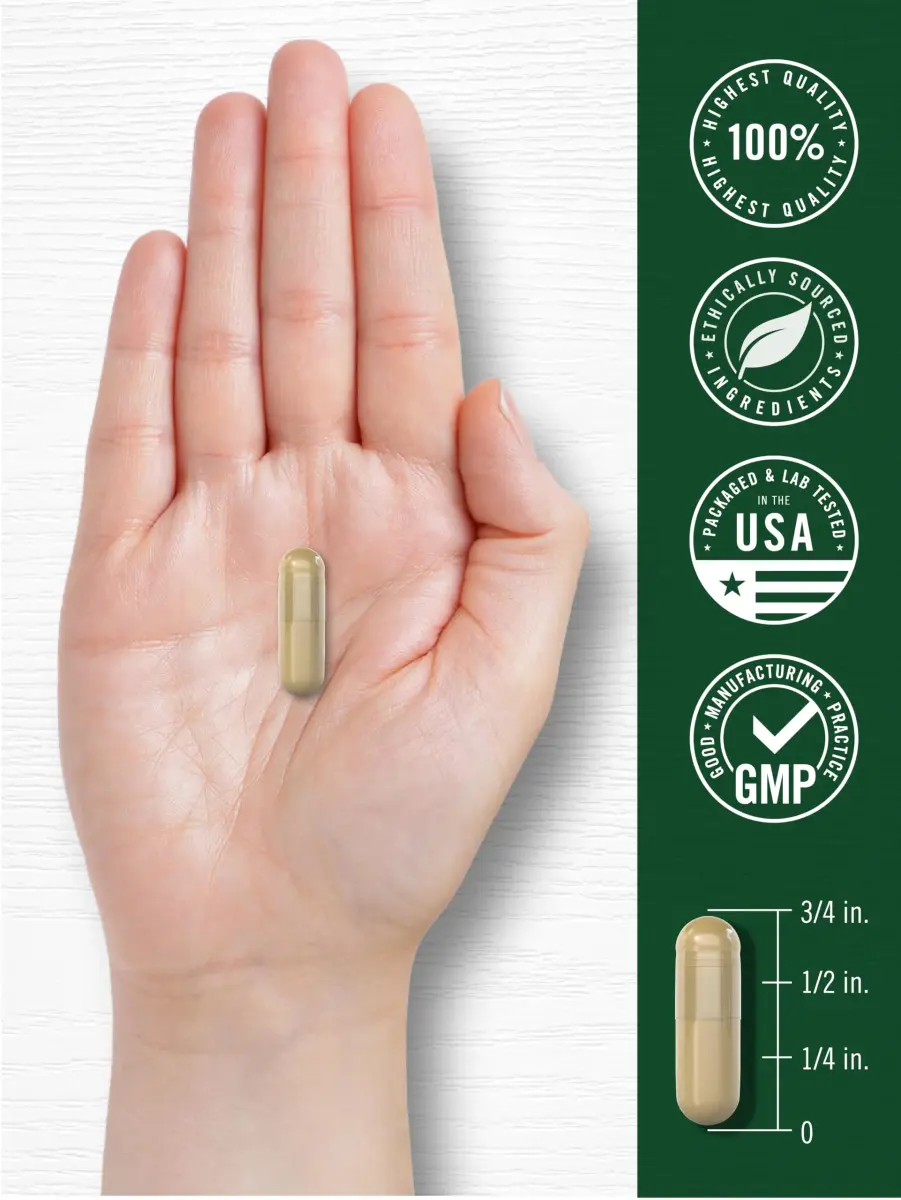 Carlyle Bacopa Monnieri Capsules | 180 Count (Pack of 1) | Gluten Free Supplement - view 7