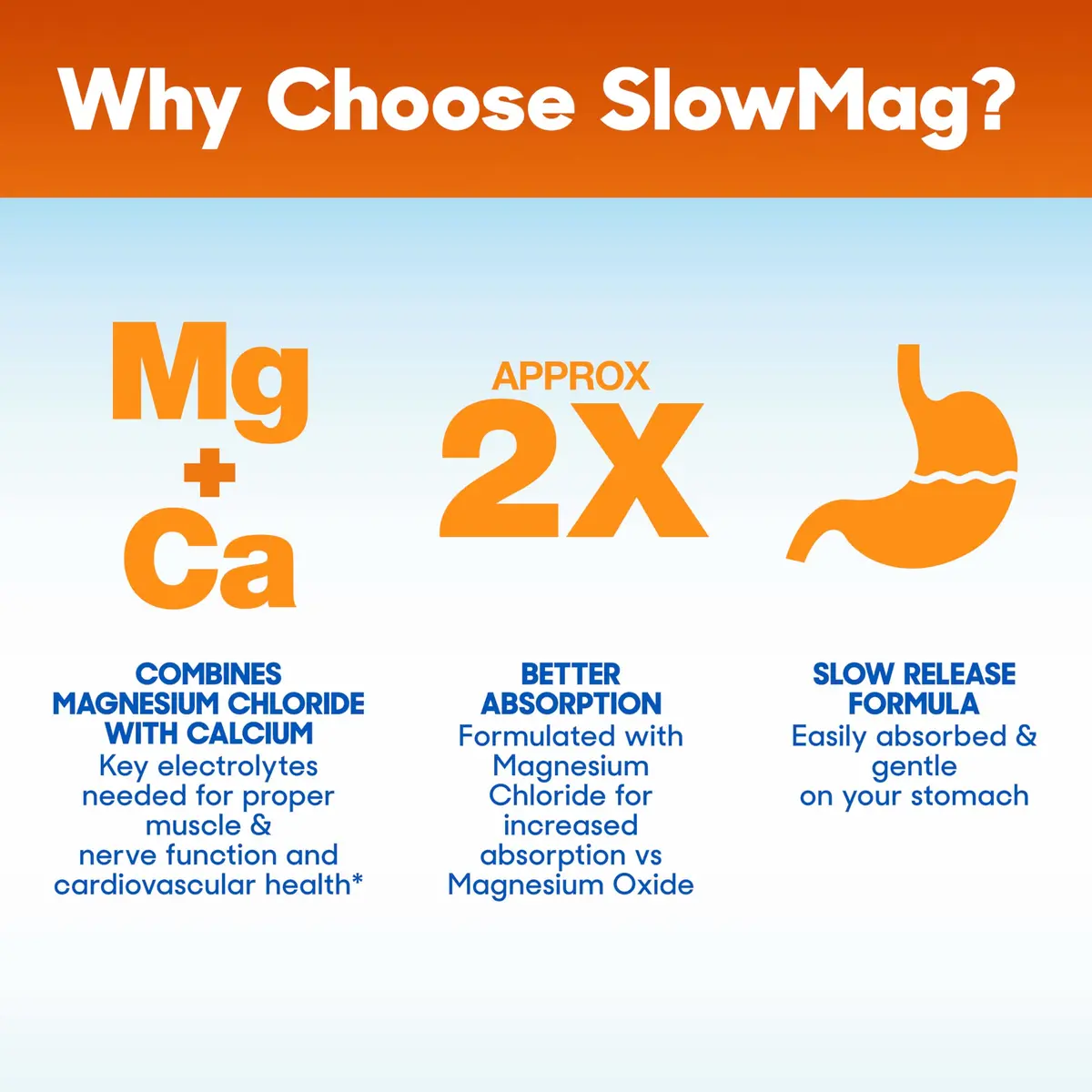 Slow-Mag Magnesium & Calcium Supplement 120 Tablets | Supports Muscle, Heart & Bone Health with High Absorption - view 7