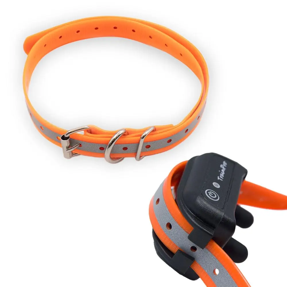 TrainPro Waterproof TPU Replacement Strap for Dog Training Collar, 27.5 in | Durable, Waterproof Nylon & Stainless Steel Buckle - main product image