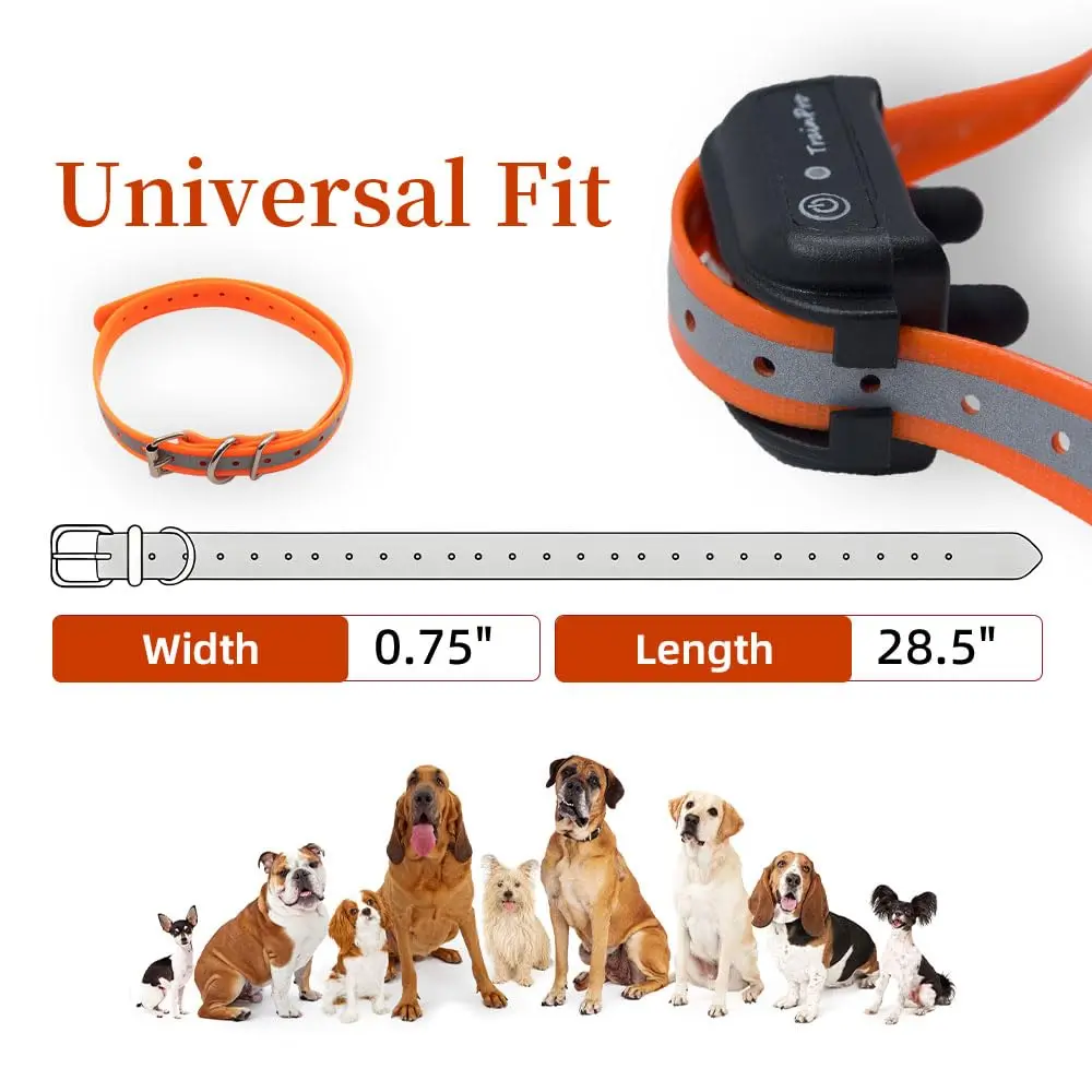 TrainPro Waterproof TPU Replacement Strap for Dog Training Collar, 27.5 in | Durable, Waterproof Nylon & Stainless Steel Buckle - view 6