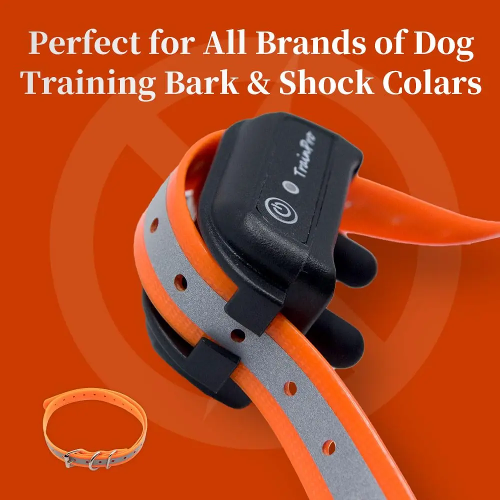 TrainPro Waterproof TPU Replacement Strap for Dog Training Collar, 27.5 in | Durable, Waterproof Nylon & Stainless Steel Buckle - view 4