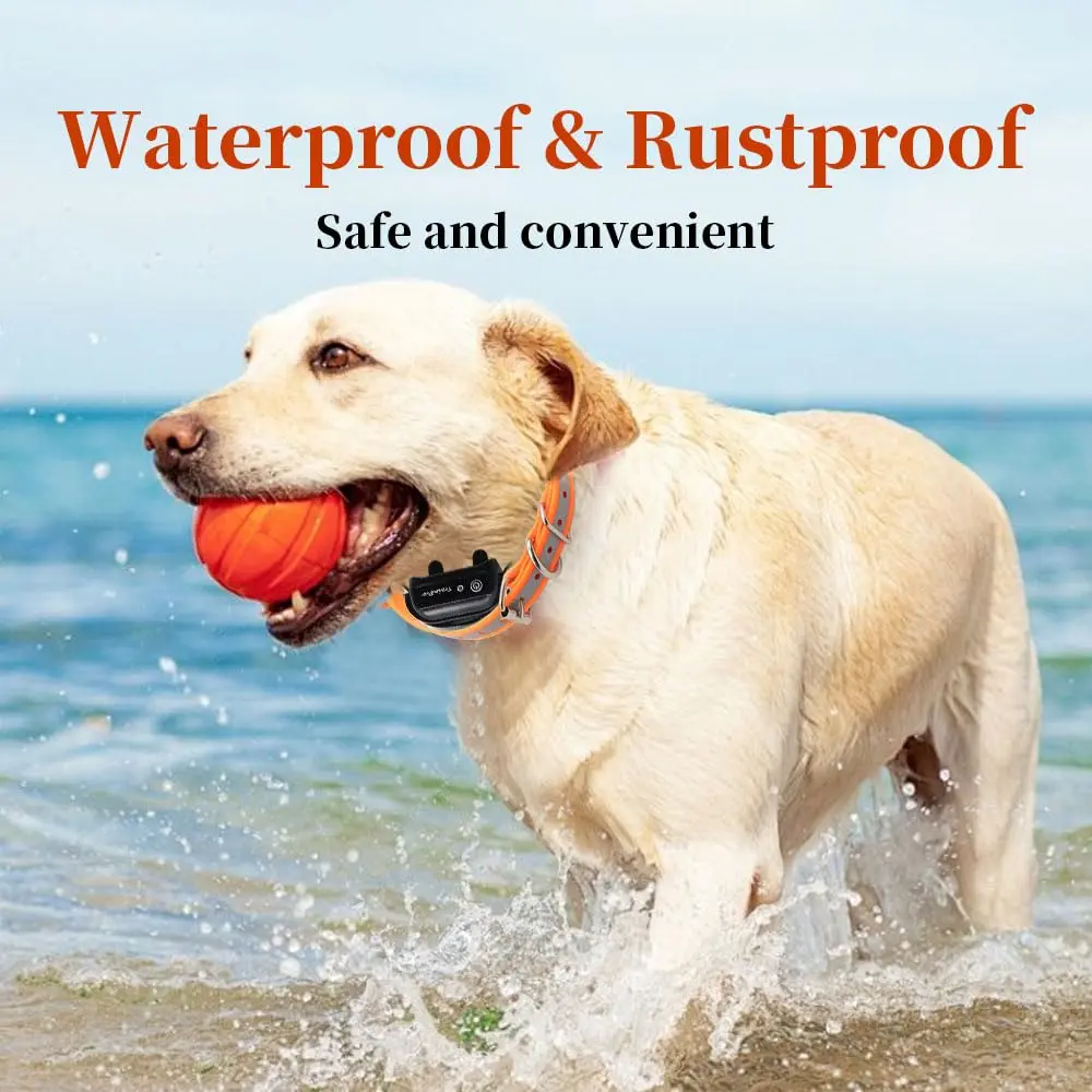 TrainPro Waterproof TPU Replacement Strap for Dog Training Collar, 27.5 in | Durable, Waterproof Nylon & Stainless Steel Buckle - view 5