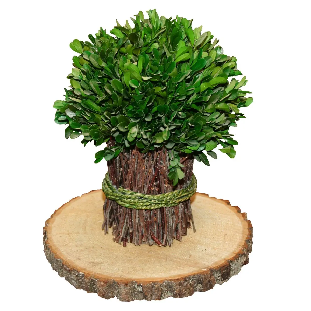 Wilson Basswood Round Rustic Wood Slice for Natural Décor, DIY Crafts (7-9") Set of Four | Rustic, Natural, Carvable - view 5