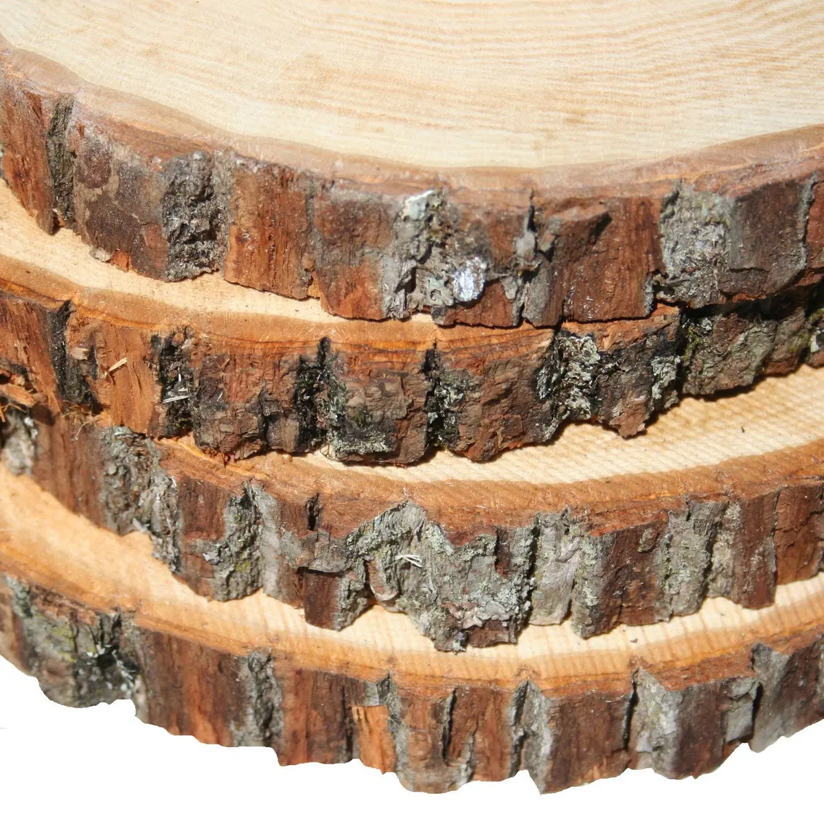 Wilson Basswood Round Rustic Wood Slice for Natural Décor, DIY Crafts (7-9") Set of Four | Rustic, Natural, Carvable - view 6