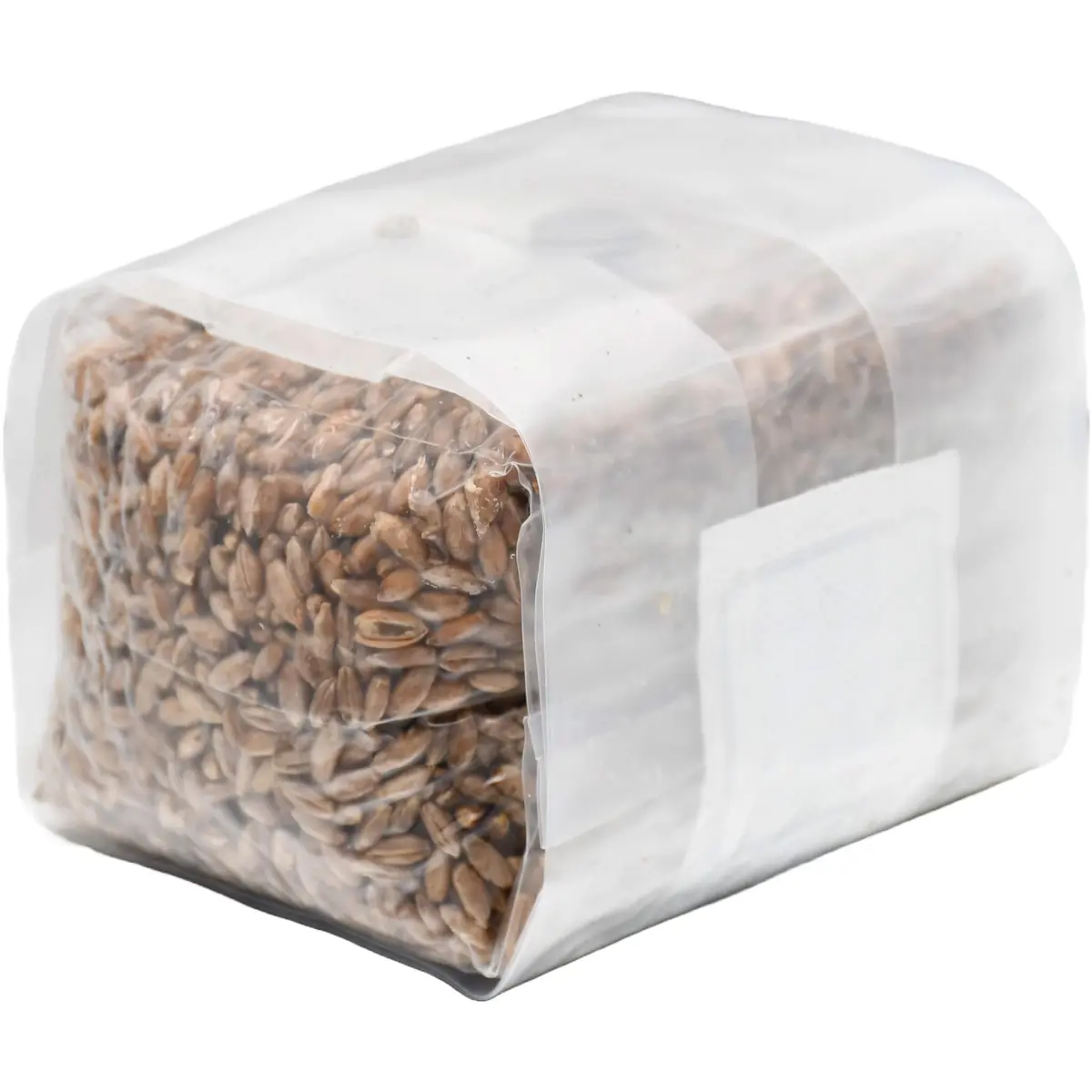 Out-Grow Sterilized Rye Berry Mushroom Substrate 6 pcs | Ready-to-Use, Self-Healing Port, 6 lb - view 4