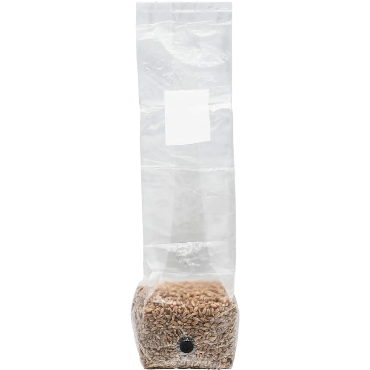 Out-Grow Sterilized Rye Berry Mushroom Substrate 6 pcs | Ready-to-Use, Self-Healing Port, 6 lb - view 5