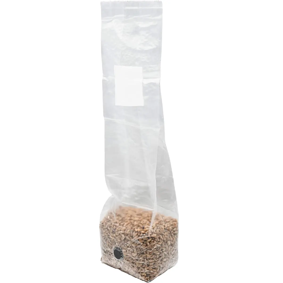 Out-Grow Sterilized Rye Berry Mushroom Substrate 6 pcs | Ready-to-Use, Self-Healing Port, 6 lb - view 6