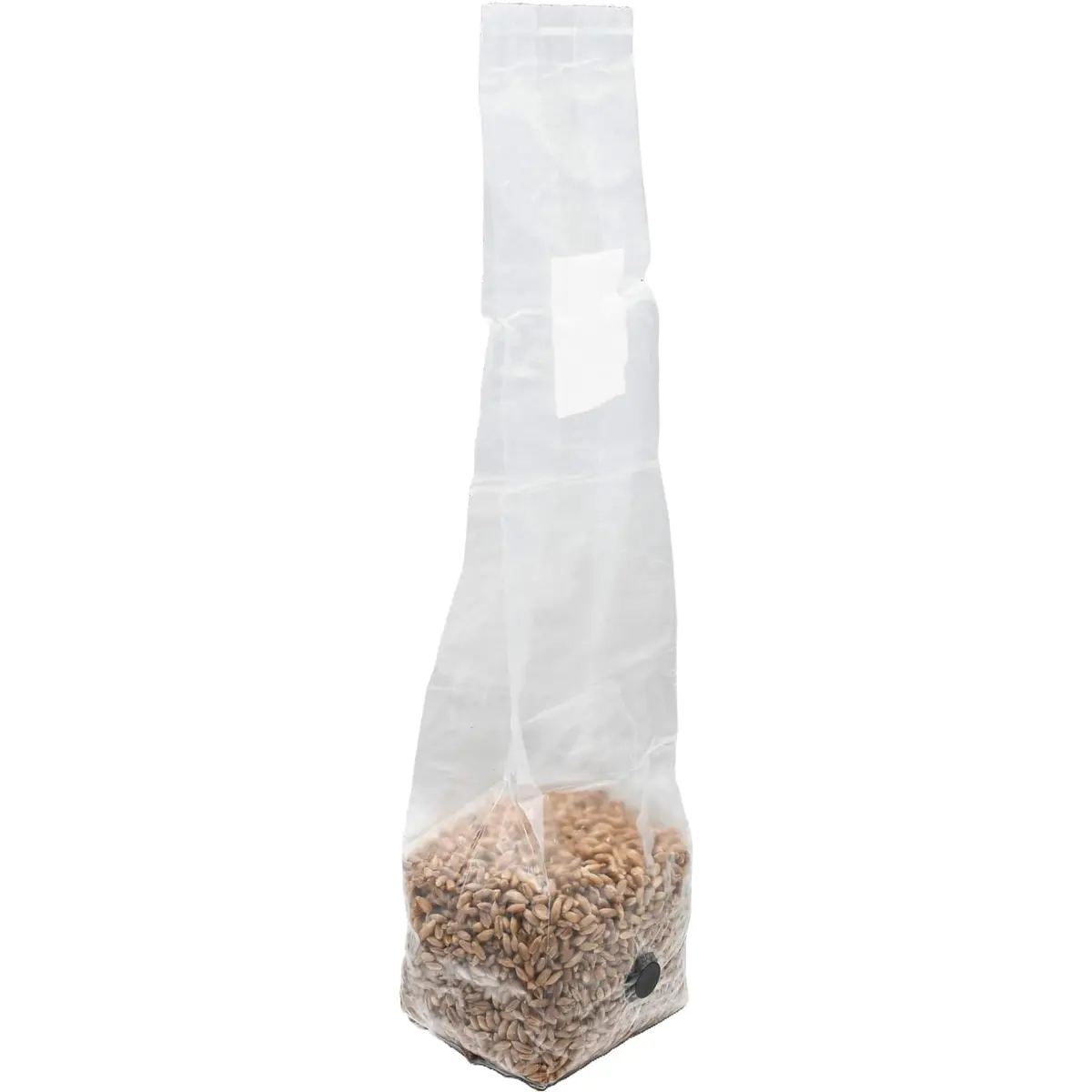 Out-Grow Sterilized Rye Berry Mushroom Substrate 6 pcs | Ready-to-Use, Self-Healing Port, 6 lb - view 7
