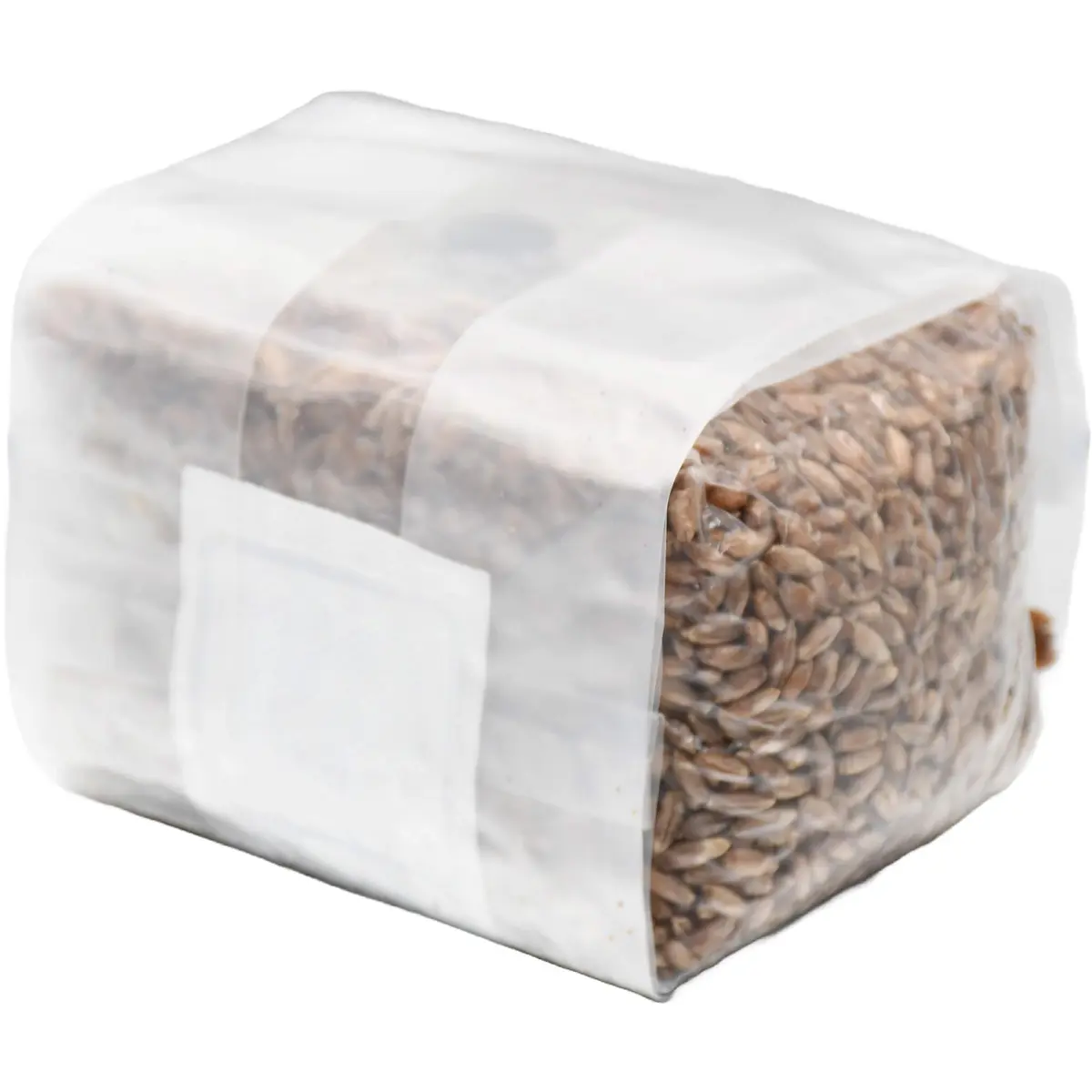 Out-Grow Sterilized Rye Berry Mushroom Substrate 6 pcs | Ready-to-Use, Self-Healing Port, 6 lb - view 3