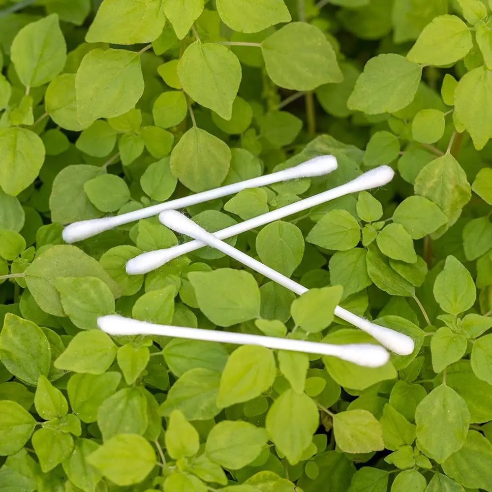 Sky Organics Organic Cotton Swabs 1000 Ct | Hypoallergenic, Chlorine-Free, Sustainable - view 7