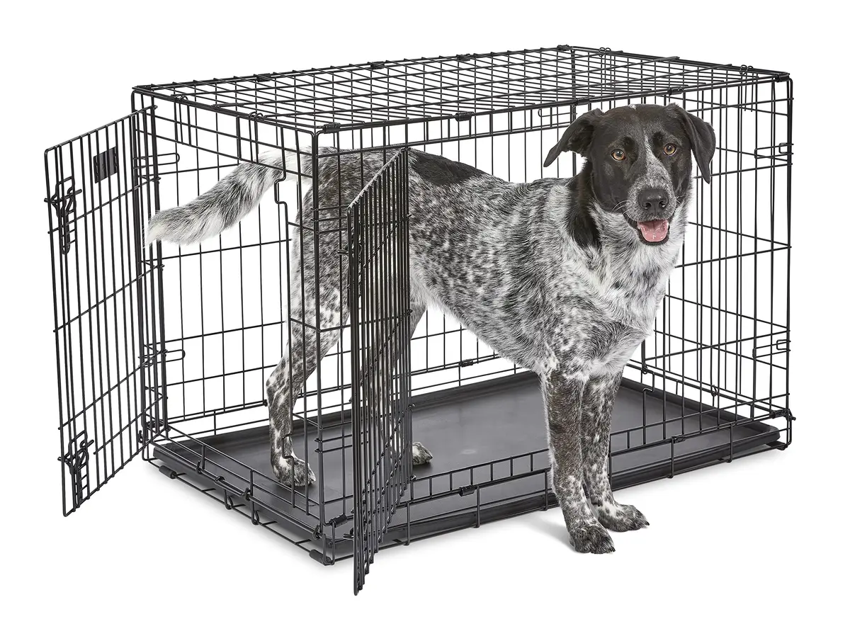 MidWest iCrate Starter Kit 36-inch Dog Crate Bundle for Medium to Large Breeds | All-in-One Pet Care Set - view 2