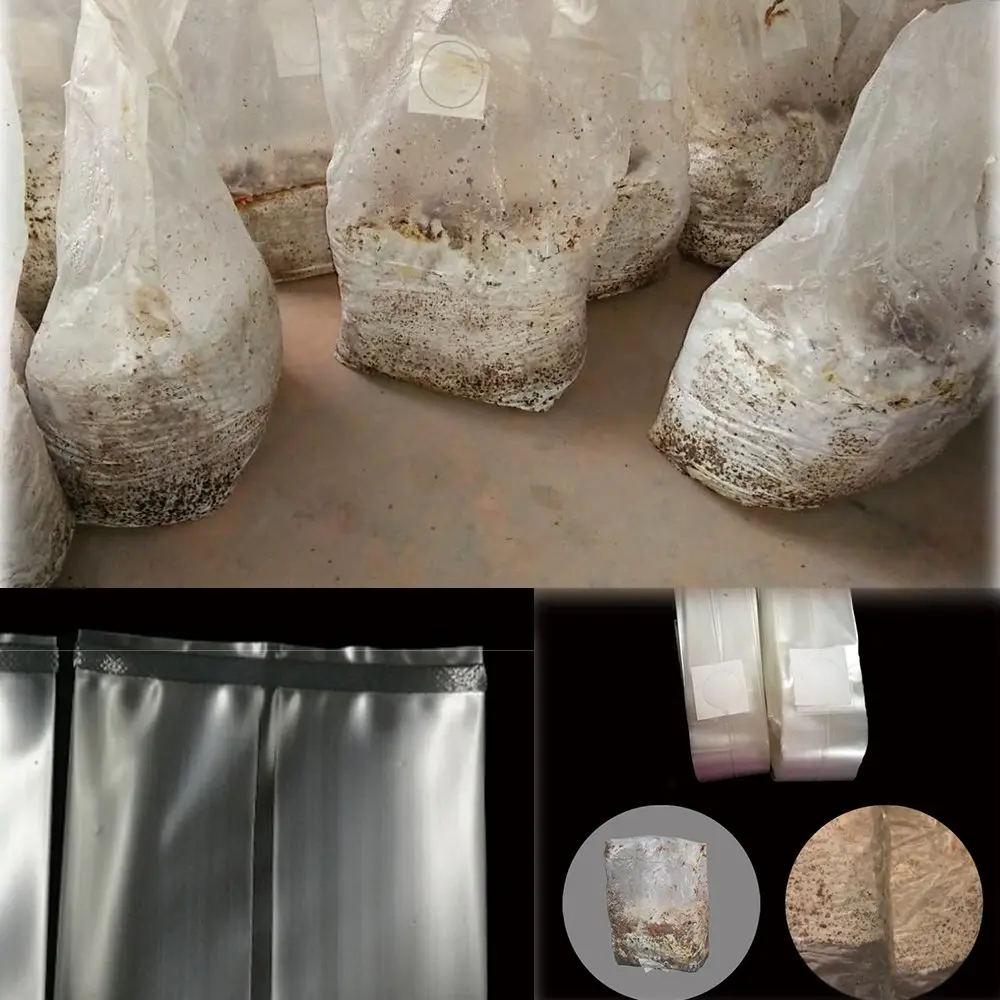 SUCOHANS Mushroom Grow Bags Large 20cm x 12cm x 50cm (8" x 5" x 19") | Autoclavable with 0.2 Micron Filter - view 5