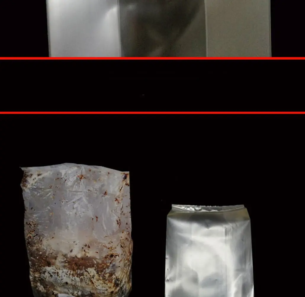 SUCOHANS Mushroom Grow Bags Large 20cm x 12cm x 50cm (8" x 5" x 19") | Autoclavable with 0.2 Micron Filter - view 3