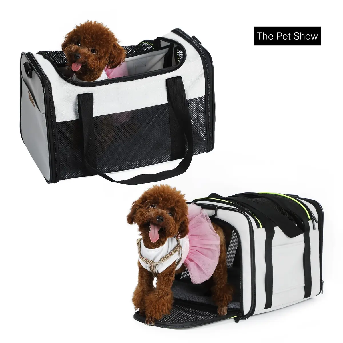 Akinerri Cat Carrier - Portable Foldable Dog Pet Carrier | Airline Approved Travel Bag for Pets up to 15 Lbs - view 3