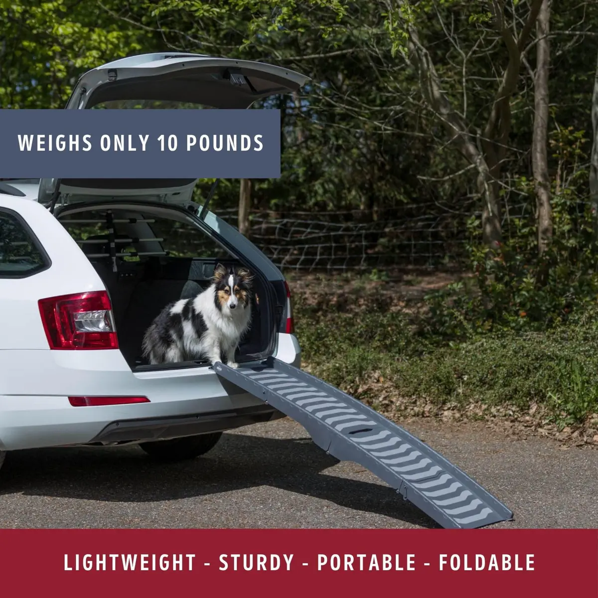 TRIXIE 59-in Pet Ramp for Small to Medium Dogs up to 55 lbs | Foldable & Lightweight, Non-slip Surface - view 5