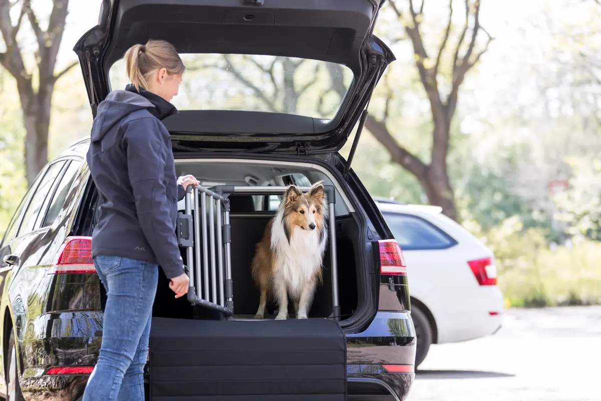 TRIXIE Aluminium Transport Box 48 x 56 x 61 cm | Safe, Stable & Quiet Pet Carrier - view 4