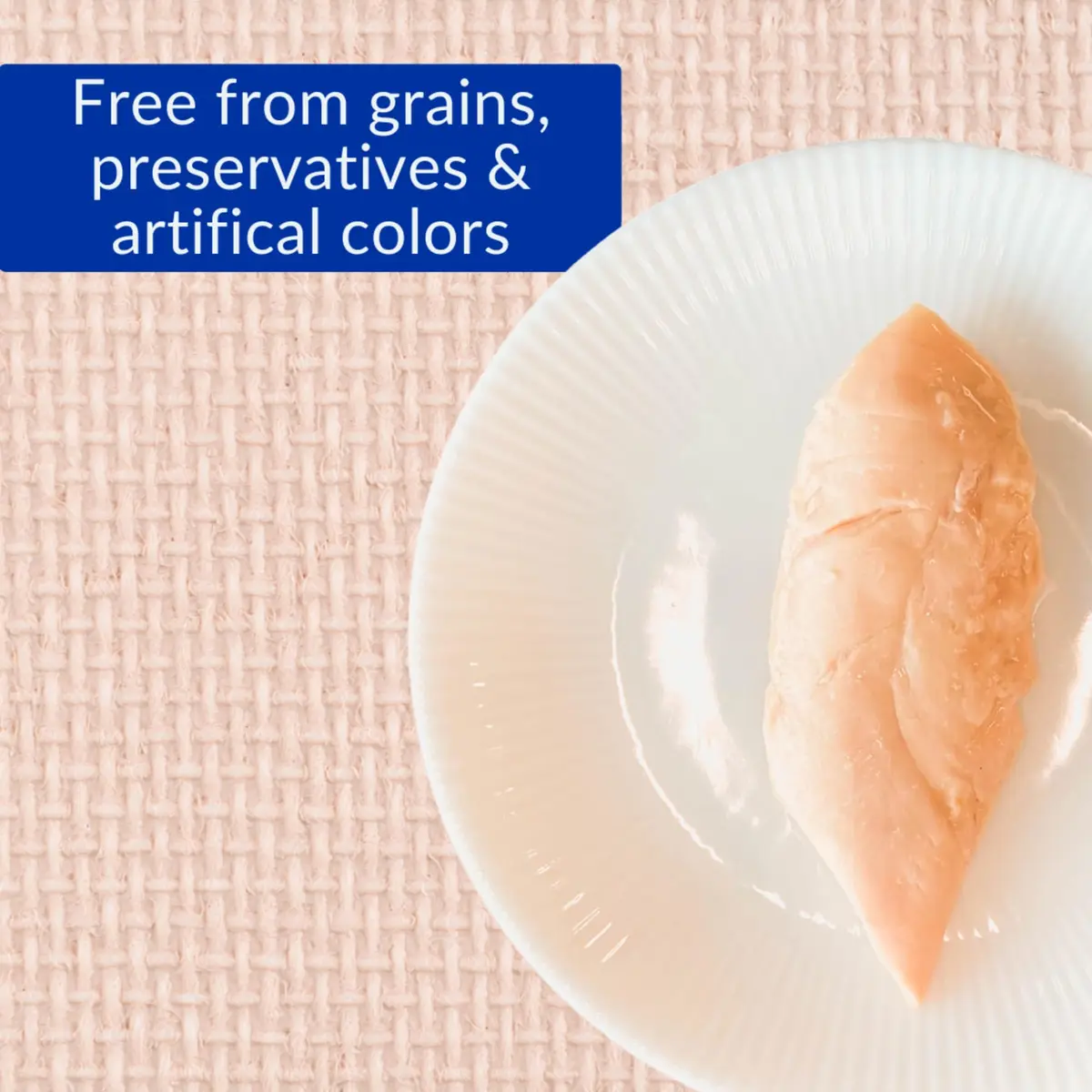INABA Grilled Fillet Cat Treats, Extra Tender Chicken in Crab Broth, 6ct | Moist, Flaky, Hand-Feed Friendly - view 6