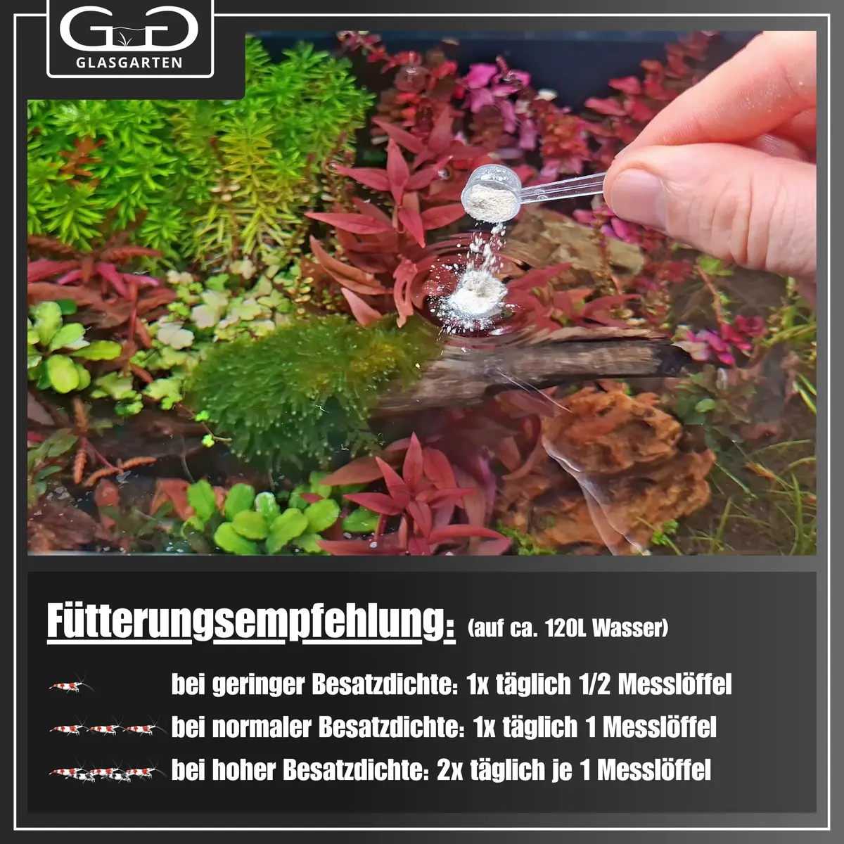 GlasGarten Bacter AE Content 70 g | Aquarium Microorganisms & Enzymes for Shrimp & Fish - view 8