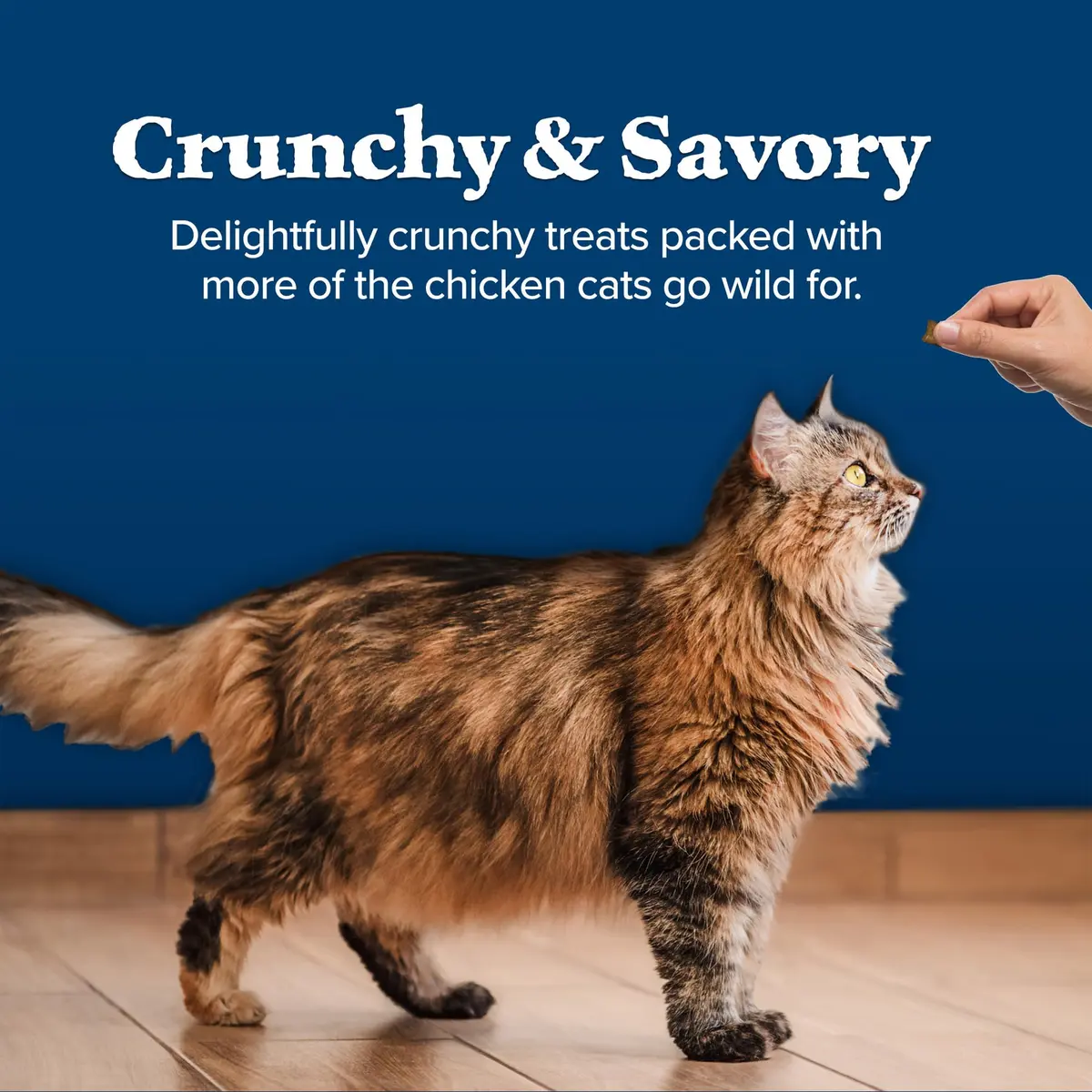 Blue Buffalo Wilderness Tasty Salmon Crunchy Cat Treats 340g (12 oz) | Grain-Free, Real Salmon First - view 6