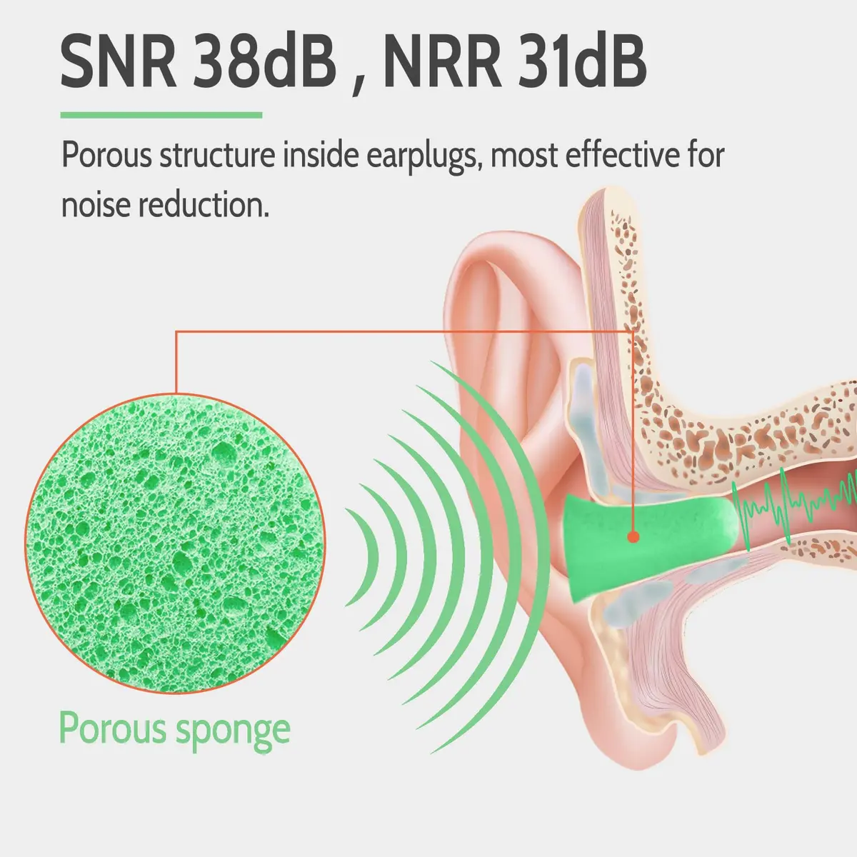 LYSIAN Soft Foam Ear Plugs for Sleeping 60 Pairs | 38dB Noise Reduction, Green - view 4
