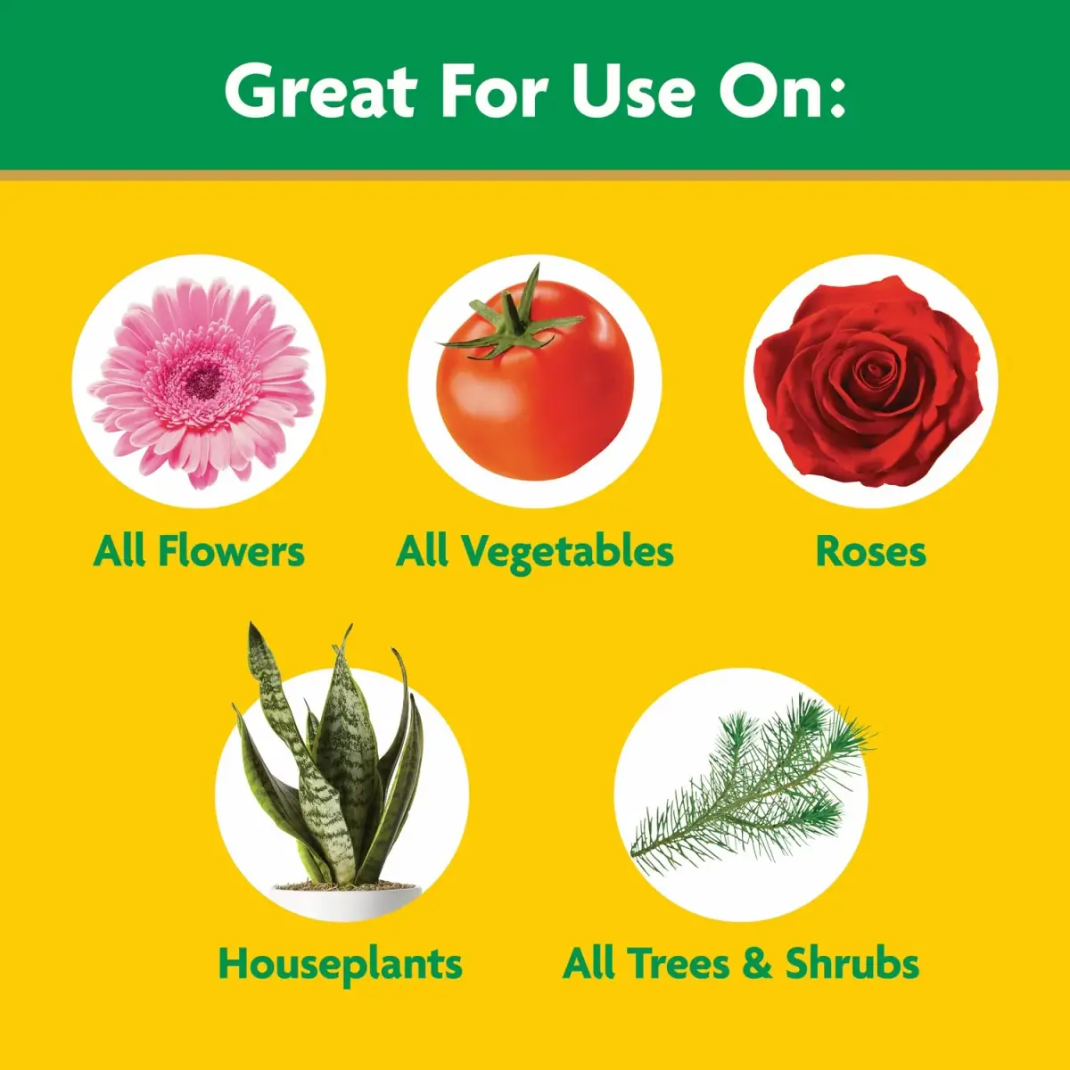 Miracle-Gro Water Soluble All Purpose Plant Food 6.25 lb (2.83 kg) | Feeds Plants Instantly for Bigger Blooms - view 6