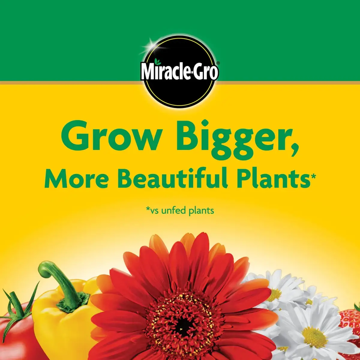 Miracle-Gro Water Soluble All Purpose Plant Food 6.25 lb (2.83 kg) | Feeds Plants Instantly for Bigger Blooms - view 9