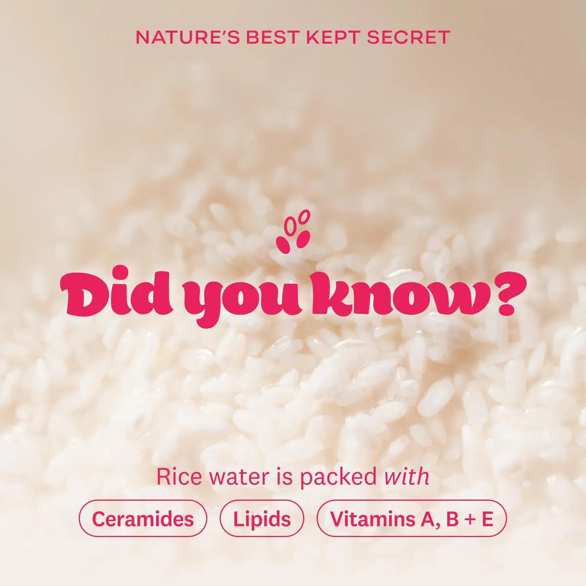 The Face Shop Rice Water Bright Foaming Cleanser 10.1 fl oz | Deep Pore & Radiance Boost - view 6