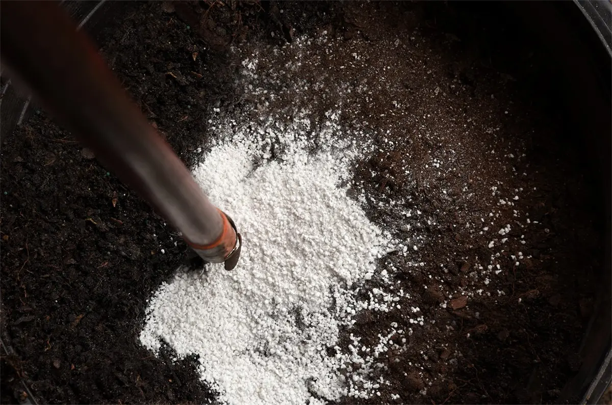 Perfect Plants Organic Perlite 1 qt | Improves Soil Drainage & Aeration for Container Plants - view 3
