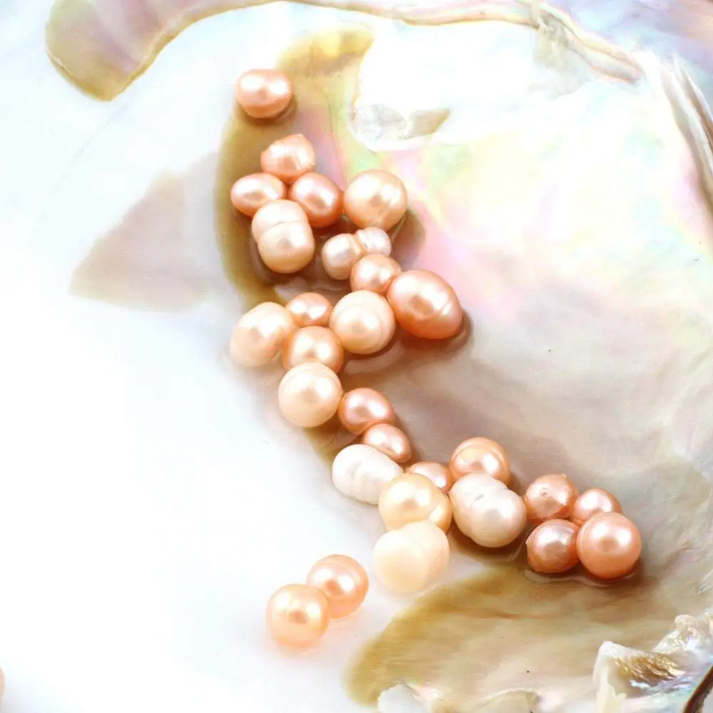 POSHOPS Freshwater Cultured Big Oysters with Pearls Inside | Natural Shape & Size for Crafting - view 5