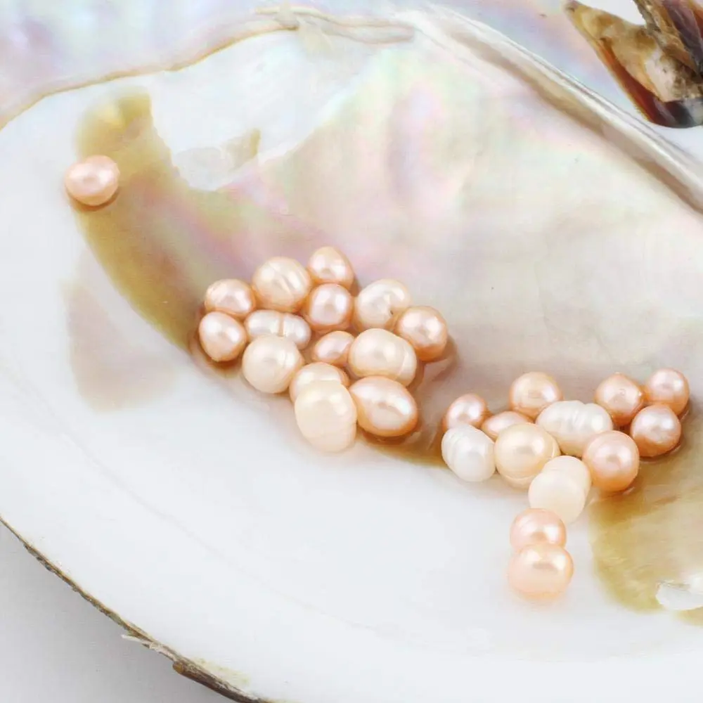 POSHOPS Freshwater Cultured Big Oysters with Pearls Inside | Natural Shape & Size for Crafting - view 6