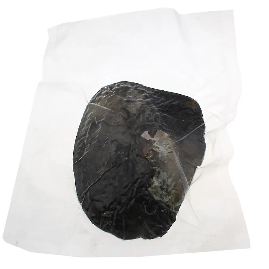 POSHOPS Freshwater Cultured Big Oysters with Pearls Inside | Natural Shape & Size for Crafting - view 3