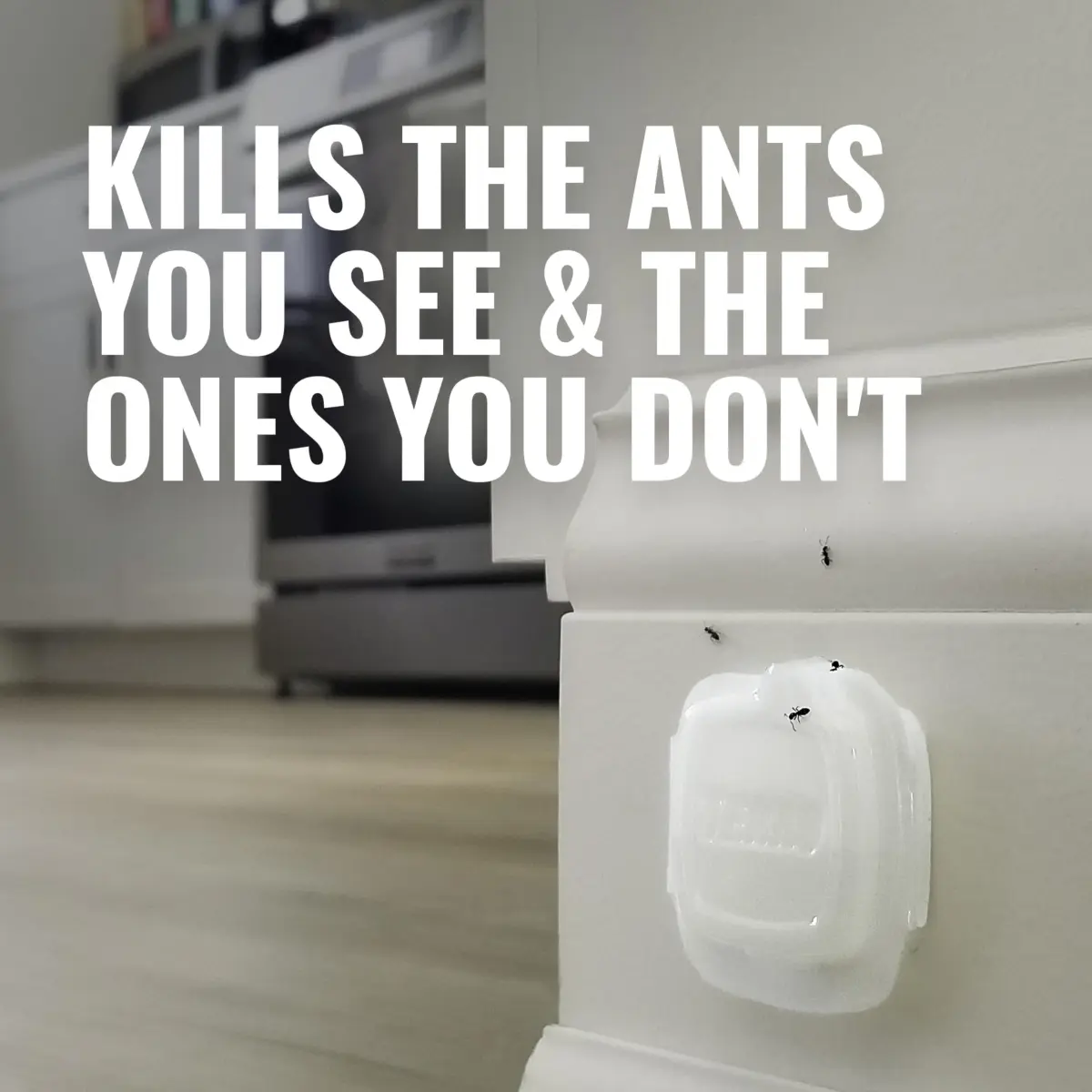 Terro Indoor Liquid Ant Baits 20 Bait Stations | Discreet Baiting for Household Ants - view 4