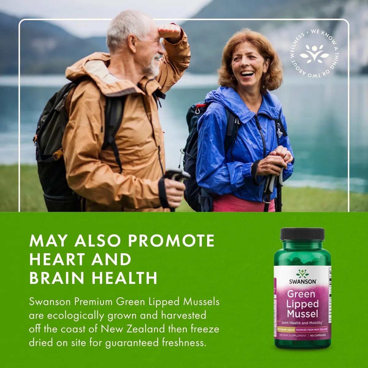 Swanson Green Lipped Mussel 500mg Capsules (240 Count) | New Zealand Joint Health & Mobility Supplement - view 6