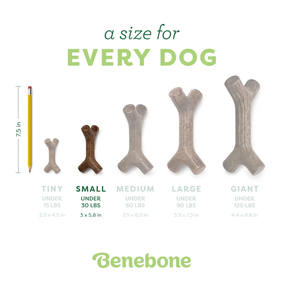 Benebone Maplestick Small Dog Chew Toy with Real Maple Wood Flavor, Made in USA - view 4