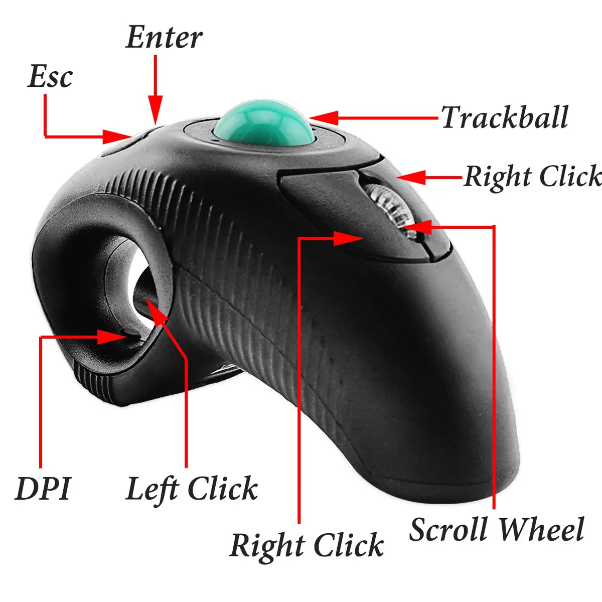EIGIIS Wireless 2.4G USB Ergonomic Trackball Handheld Finger Mouse | Ambidextrous, 800/1200/1400/1600 DPI, Black - view 5