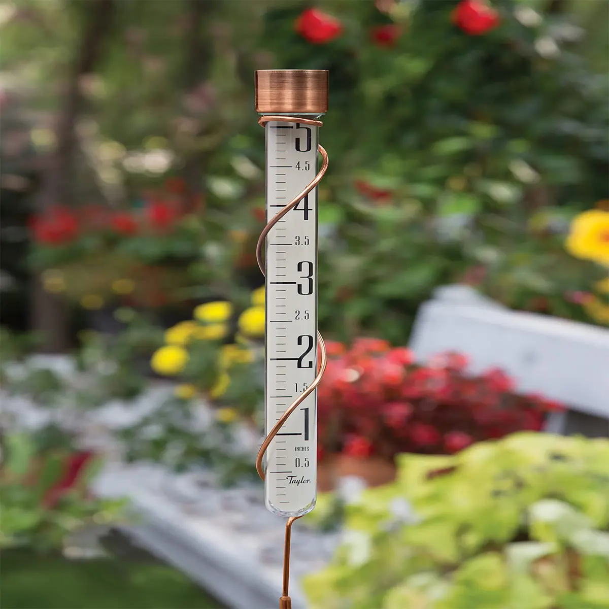 Taylor Heritage Collection Glass Rain Gauge, 42.3cm (27 inch) Tall, 12.7cm (5 inch) Capacity | Measure Rainfall Accurately - view 5