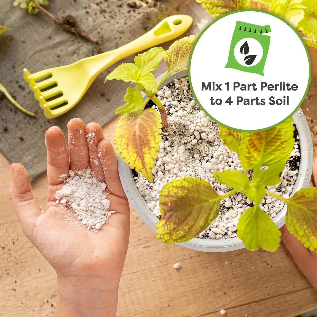 Perfect Plants Organic Perlite, 4 qt | Improves Soil Drainage & Aeration for Indoor & Outdoor Plants - view 5