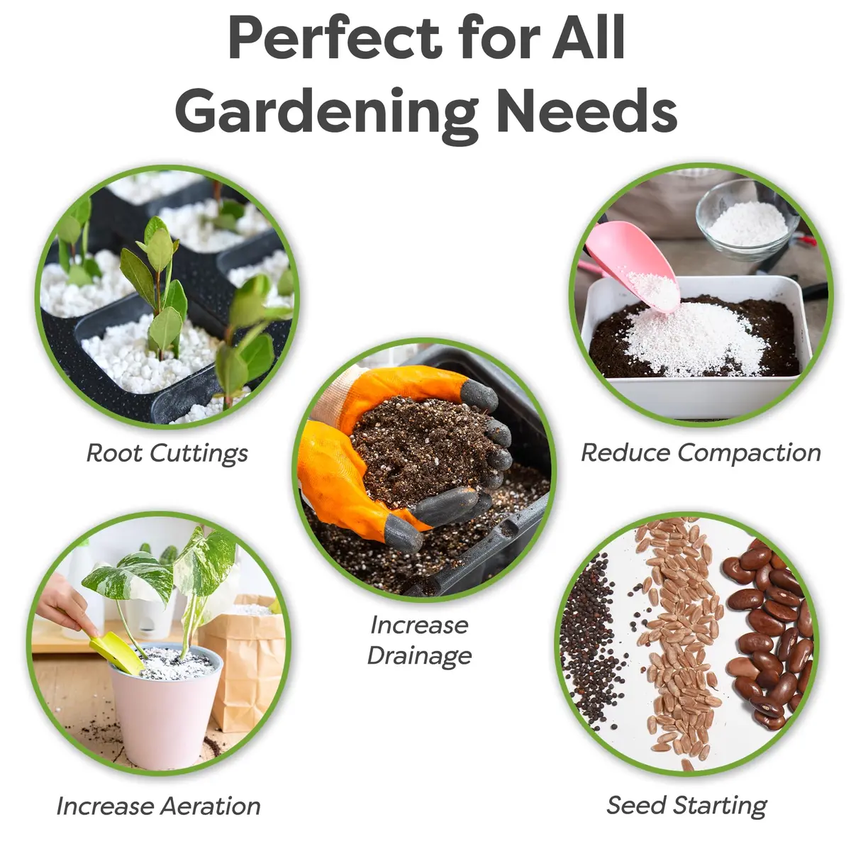 Perfect Plants Organic Perlite, 4 qt | Improves Soil Drainage & Aeration for Indoor & Outdoor Plants - view 2
