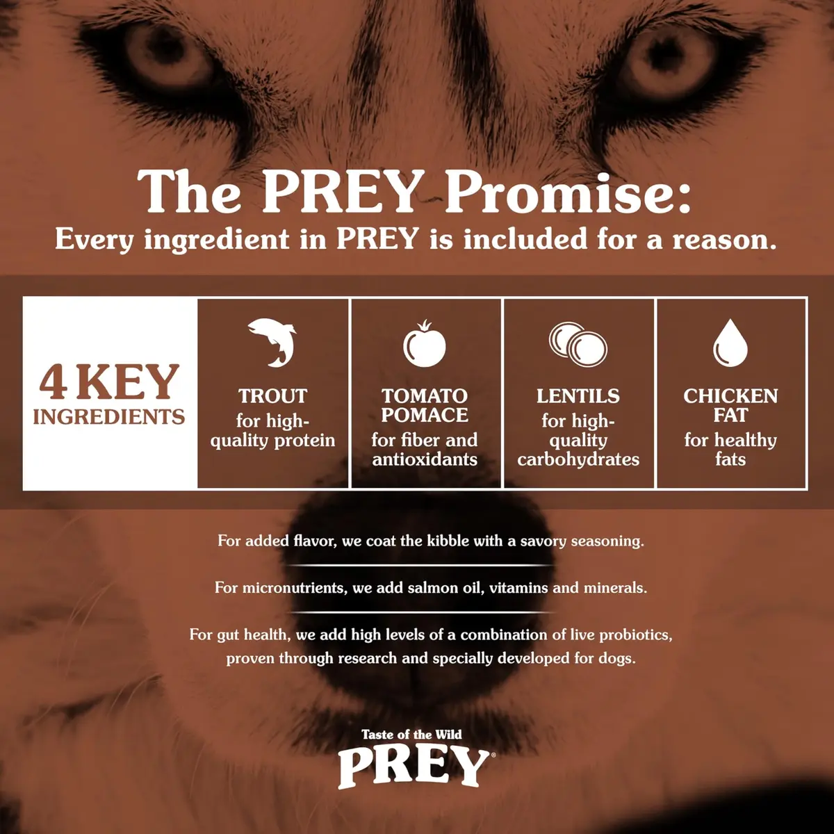 Taste of the Wild Prey Trout Puppy, Adult & Senior Dry Dog Food 25lb | Limited Ingredient, Real Trout First - view 4