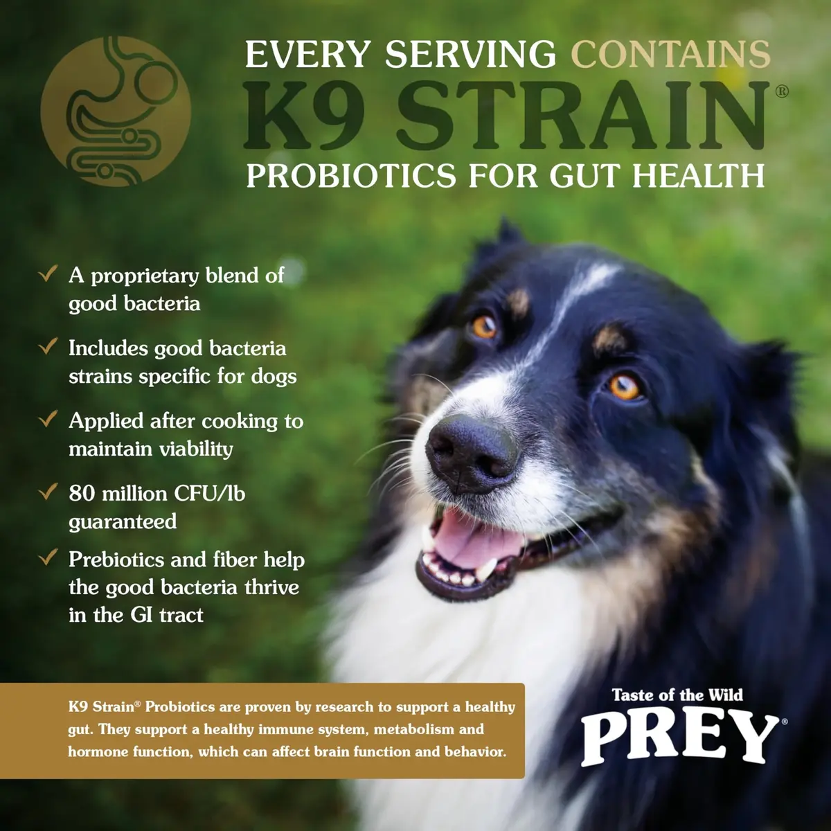 Taste of the Wild Prey Trout Puppy, Adult & Senior Dry Dog Food 25lb | Limited Ingredient, Real Trout First - view 5