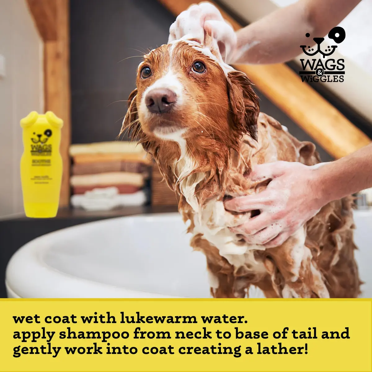 Wags & Wiggles Soothe Oatmeal Dog Shampoo, 16 Oz | Gentle, pH-Balanced for Sensitive Skin - view 4