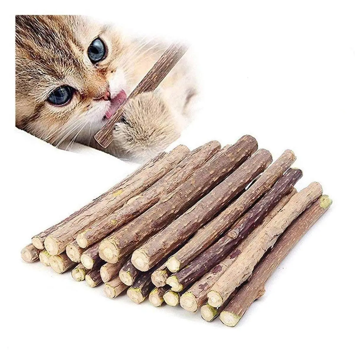 Ueerdand Organic Catnip Chew Sticks 10 pcs | Silvervine & Plant-Based Teeth Cleaner for Cats - main product image