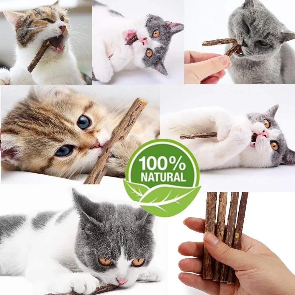 Ueerdand Organic Catnip Chew Sticks 10 pcs | Silvervine & Plant-Based Teeth Cleaner for Cats - view 4