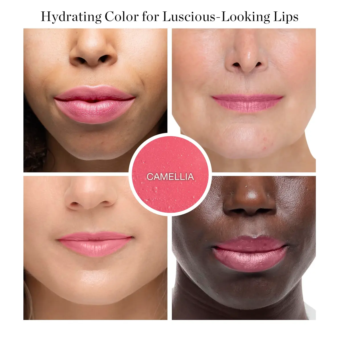 Ogee Tinted Sculpted Lip Oil - Organic Lip Stain, Balm & Color - CAMELLIA | Moisturizing, Buildable Sheer Color (70-120 chars) - view 2