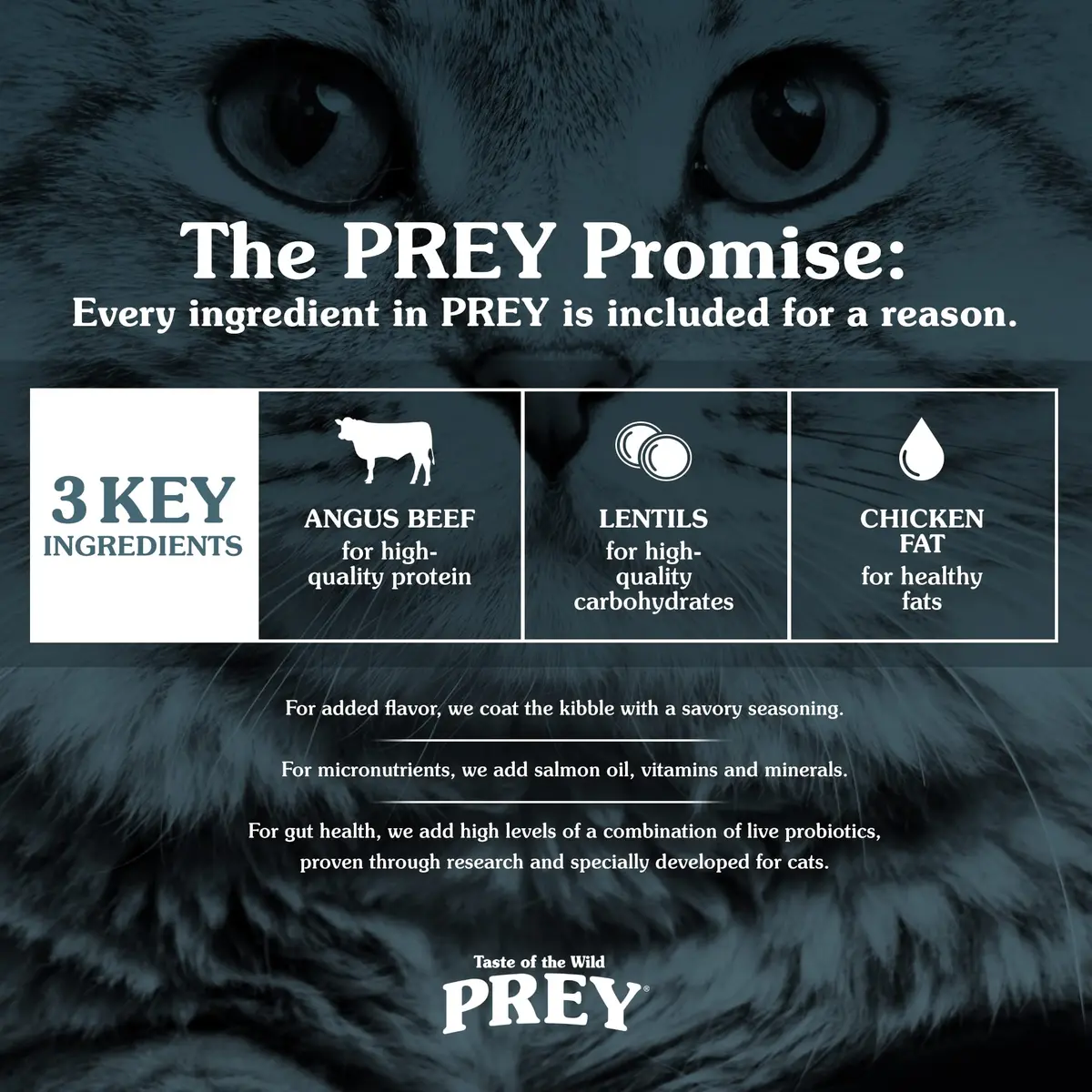 Taste of the Wild PREY Angus Beef Kitten, Adult & Senior Dry Cat Food 6lb | Limited Ingredient, Probiotics & Omega Support - view 4