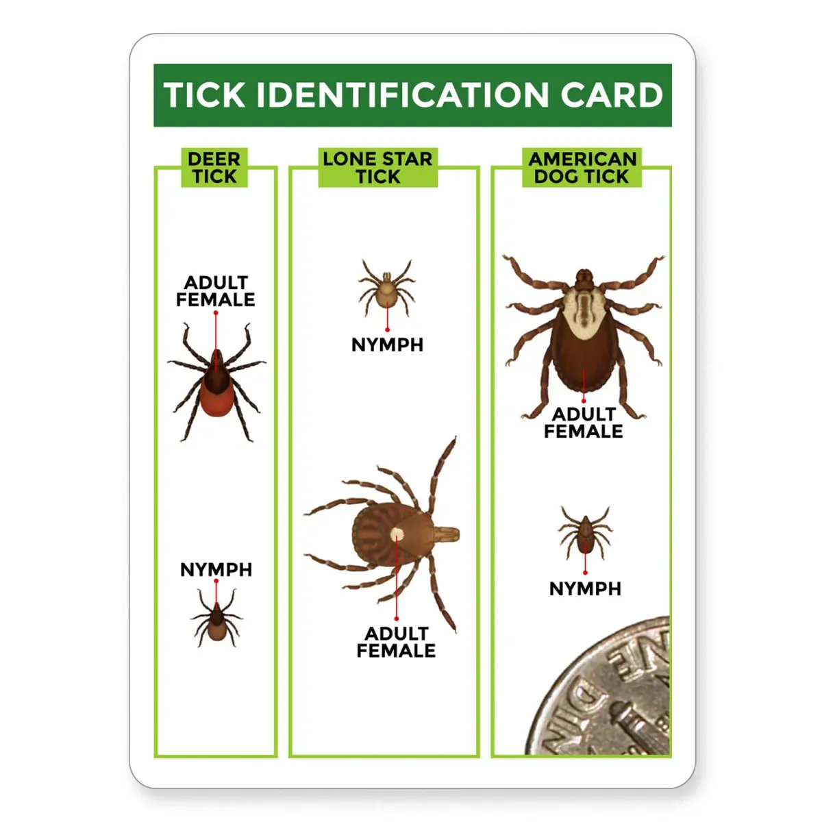 TickCheck Tick Remover Value 3 Pack - Tick Remover Tools + Tick Identification Card - for Humans, Dogs & Cats (5 Sets of 3) - view 4
