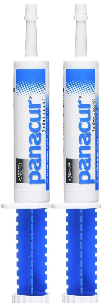 SCHERING/INTERVET D PANACUR Dewormer Horse Paste 10% | Horse Dewormer with Apple Cinnamon Flavor (100mg) | 2-Pack - main product image